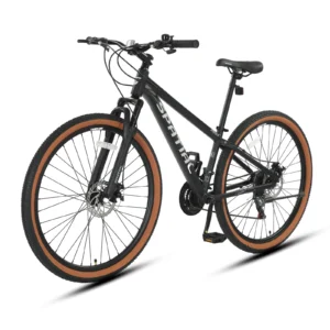 SPATIAL 29 Inch Mountain Bike