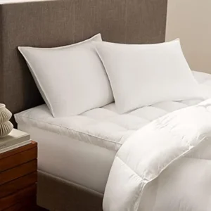 Hypoallergenic Queen Pillows Set